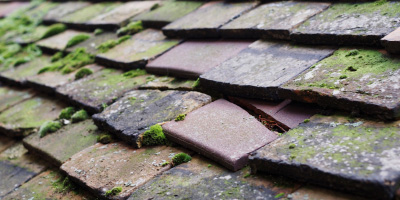 Dadford roof repair costs